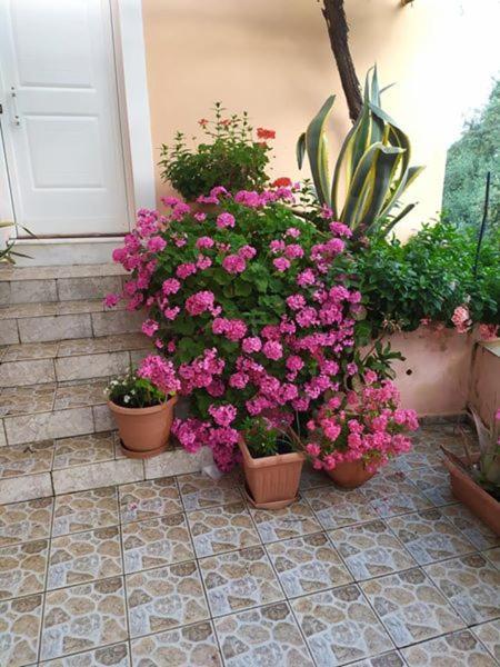 Garden Of Olive Trees Villa Asfendiles Eksteriør bilde